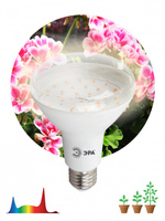 FITO Лампа ЭРА 15W-Ra90-E27 для растений* ERA