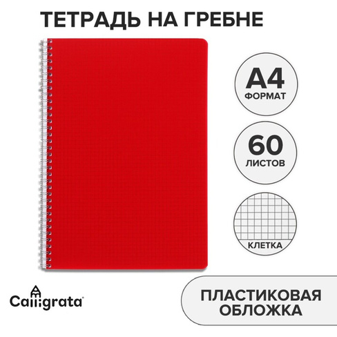 Тетрадь на гребне a4 60 листов в клетку calligrata красная, пластиковая обложка, блок офсет Calligrata